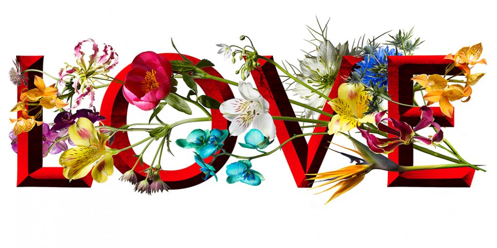Love Flower Logo Blog